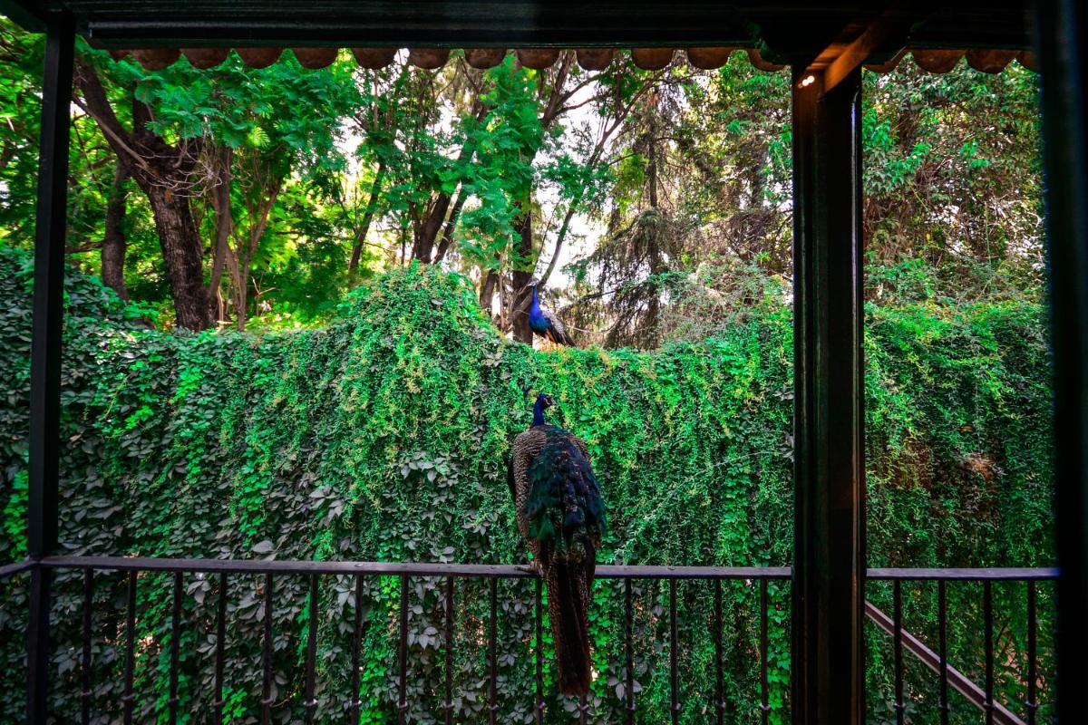 Legado Alcazar Hotel