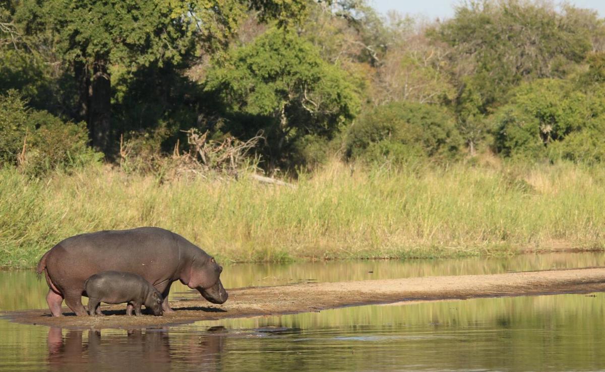 Leopard Hills Private Game Reserve