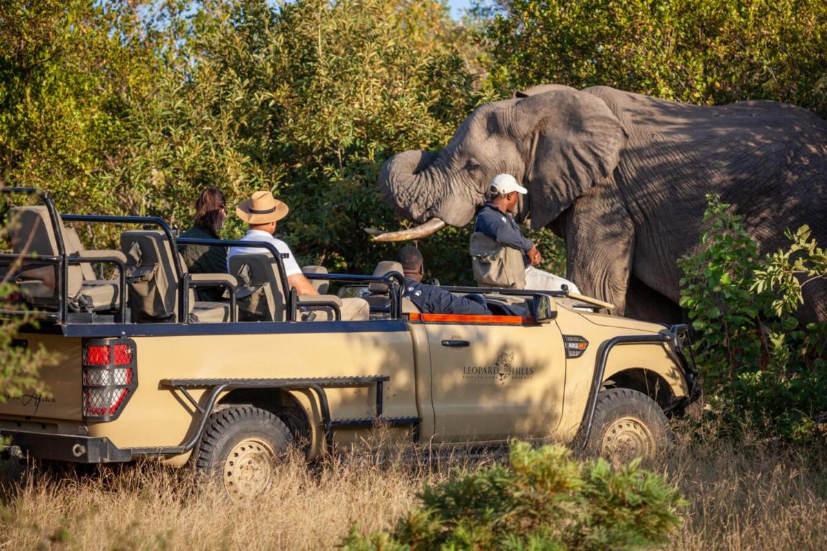 Leopard Hills Private Game Reserve