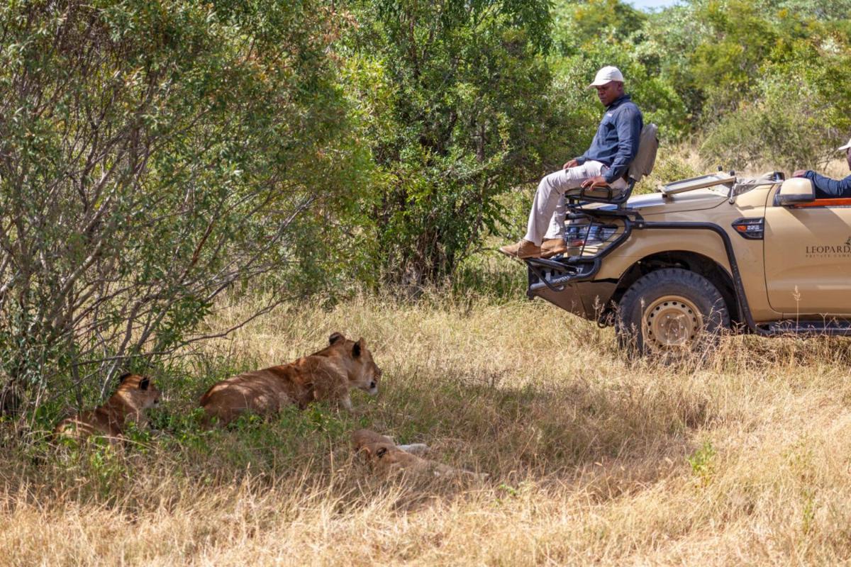 Leopard Hills Private Game Reserve