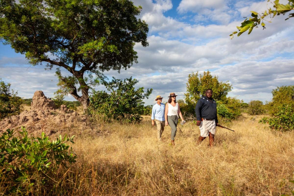 Leopard Hills Private Game Reserve