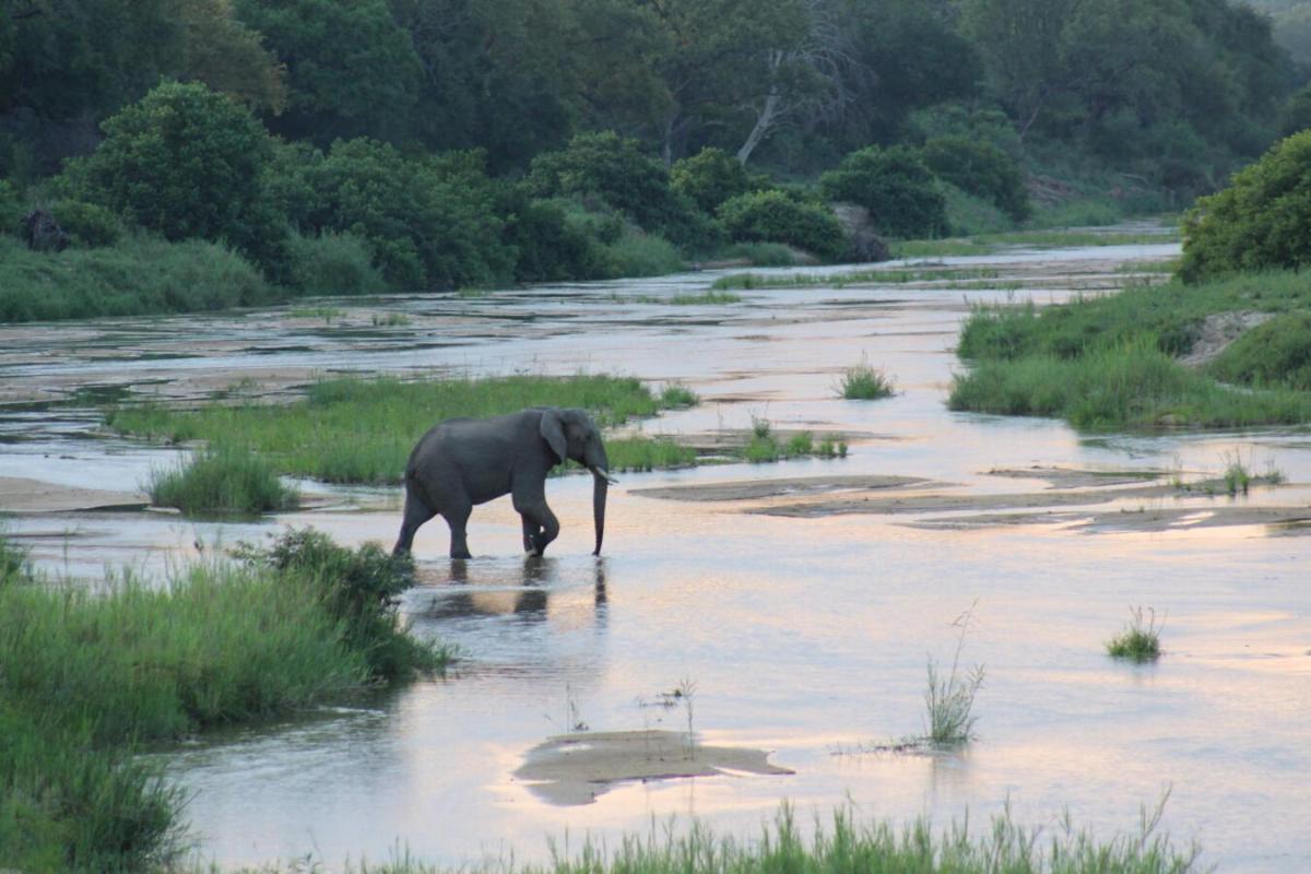 Leopard Hills Private Game Reserve