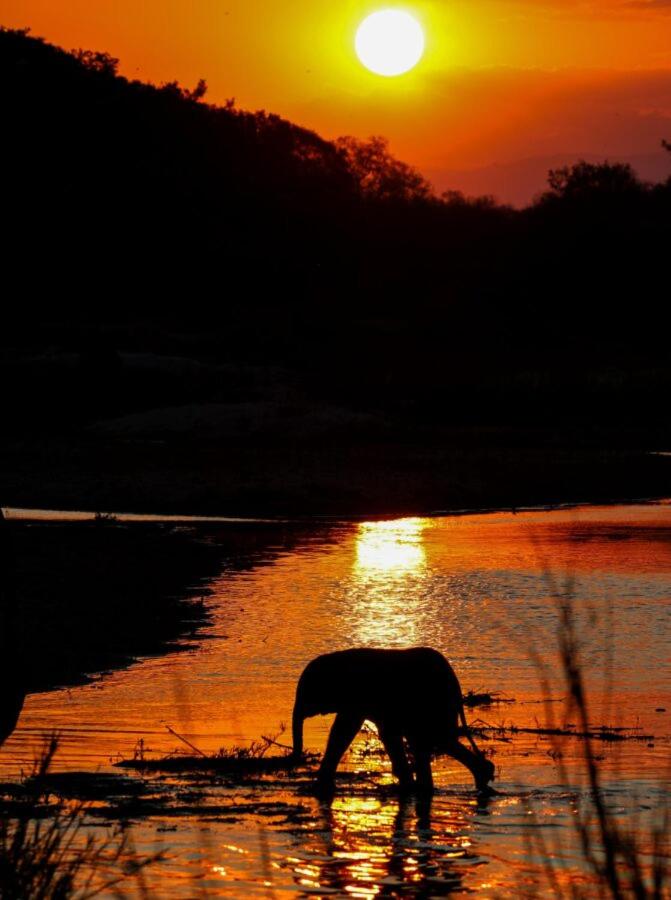 Leopard Hills Private Game Reserve