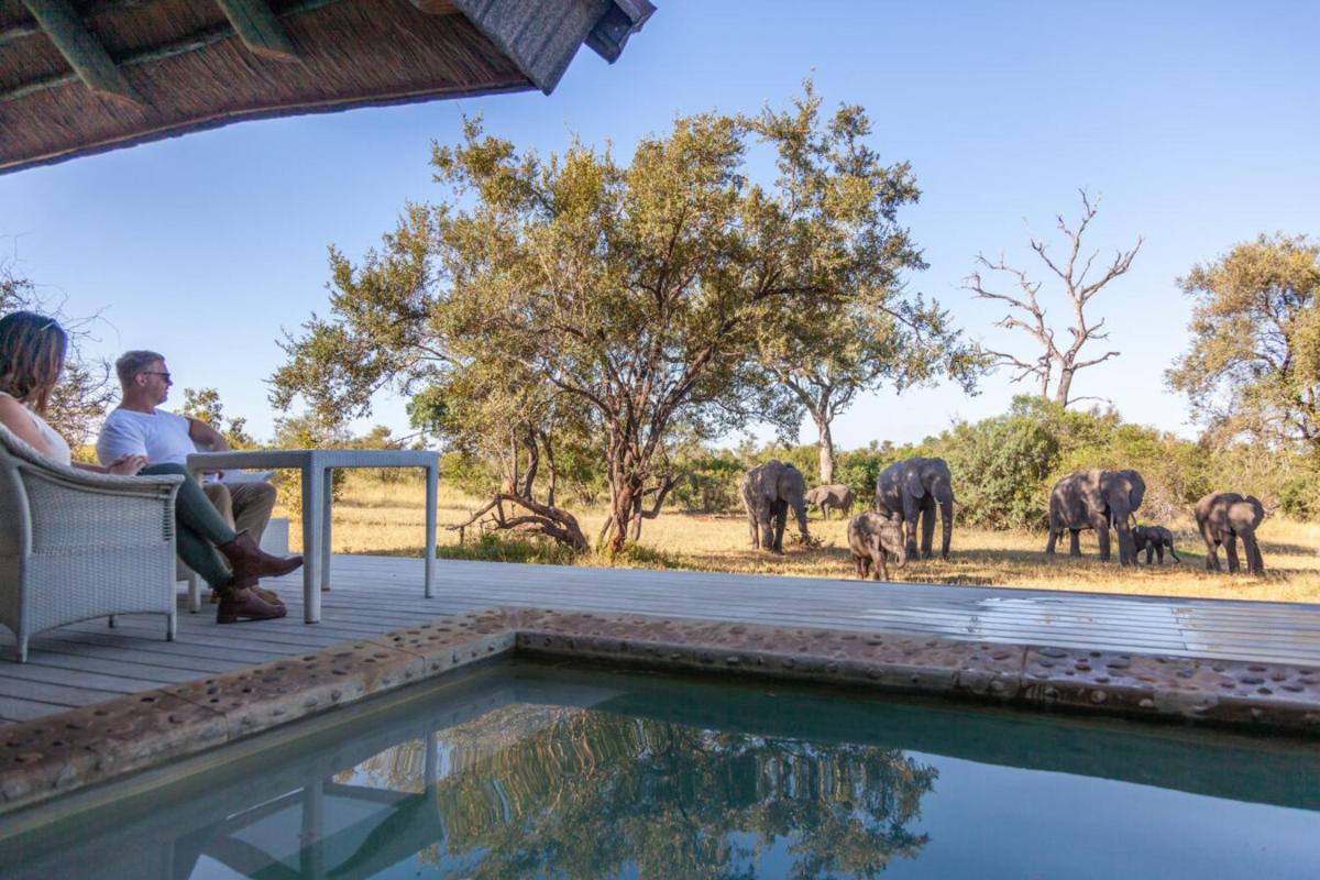 Leopard Hills Private Game Reserve
