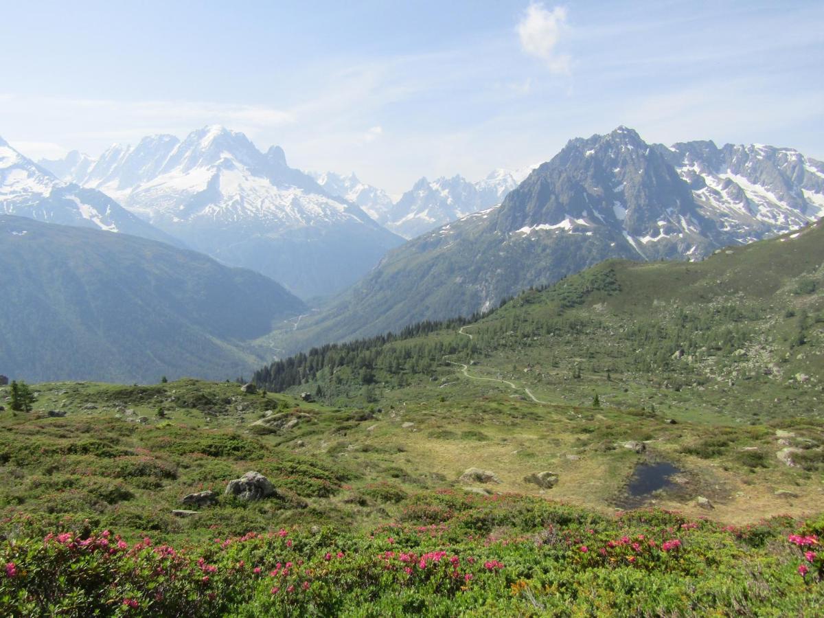 Les Grands Montets Hotel & Spa