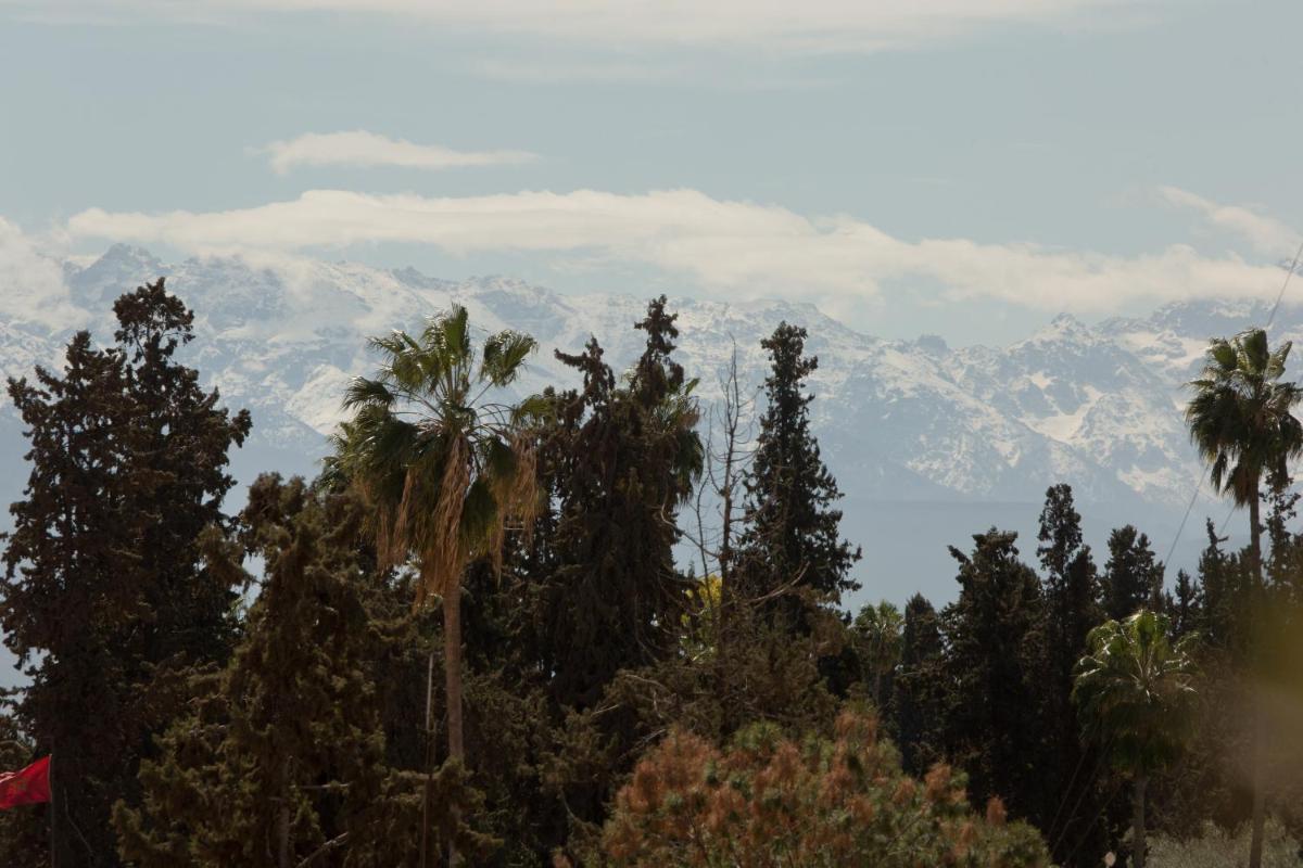 Les Jardins De La Médina
