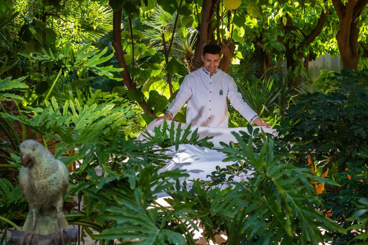 Les Jardins De La Médina