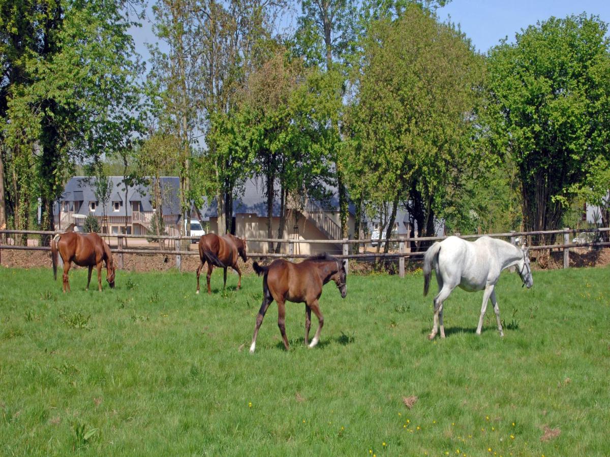 Les Manoirs de Tourgéville