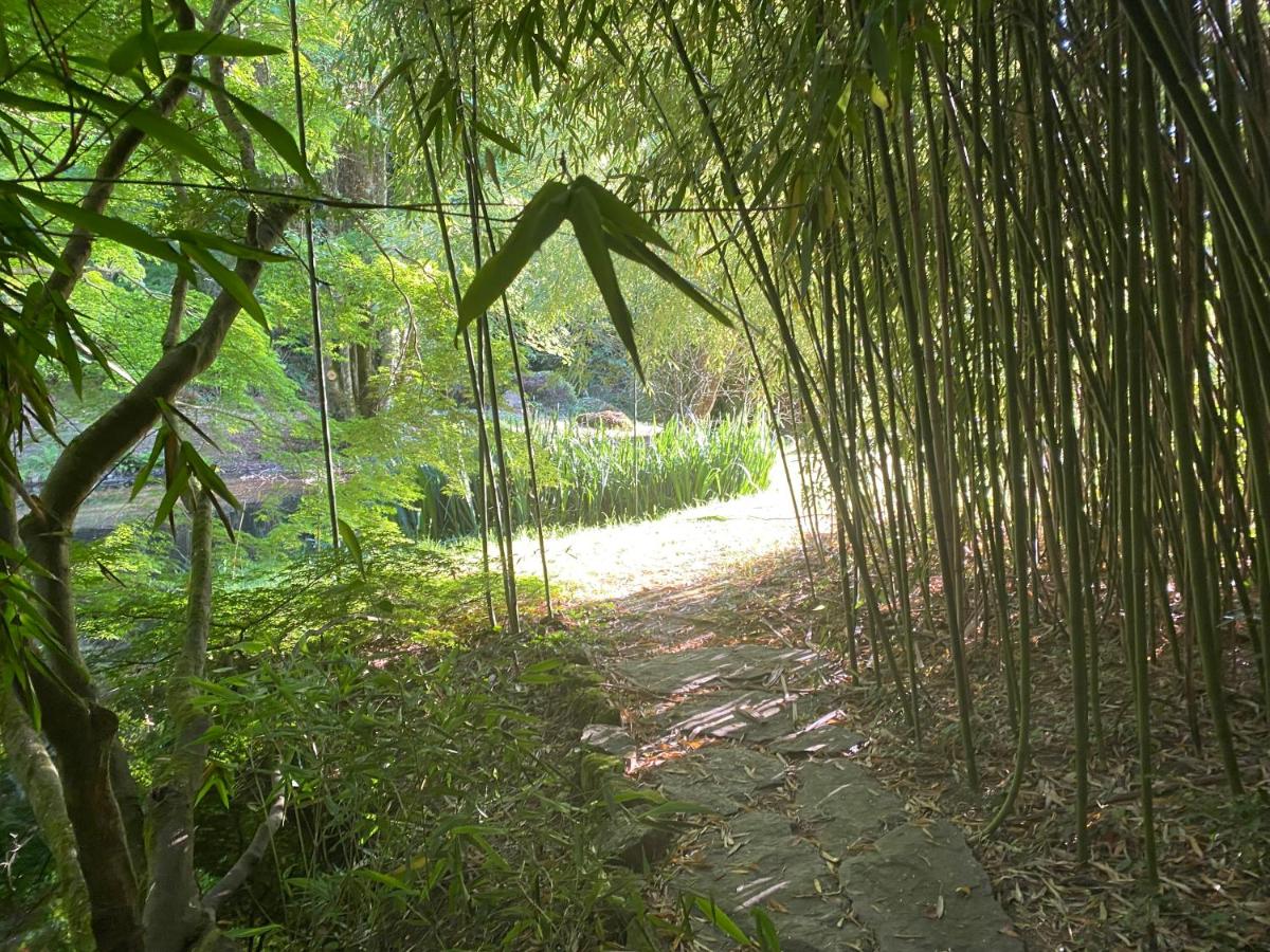 Les Moulins Du Duc ÉCOLODGE