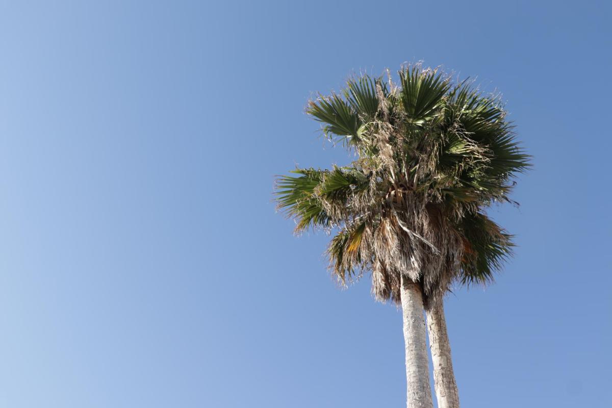 Les Sables Noirs & Spa