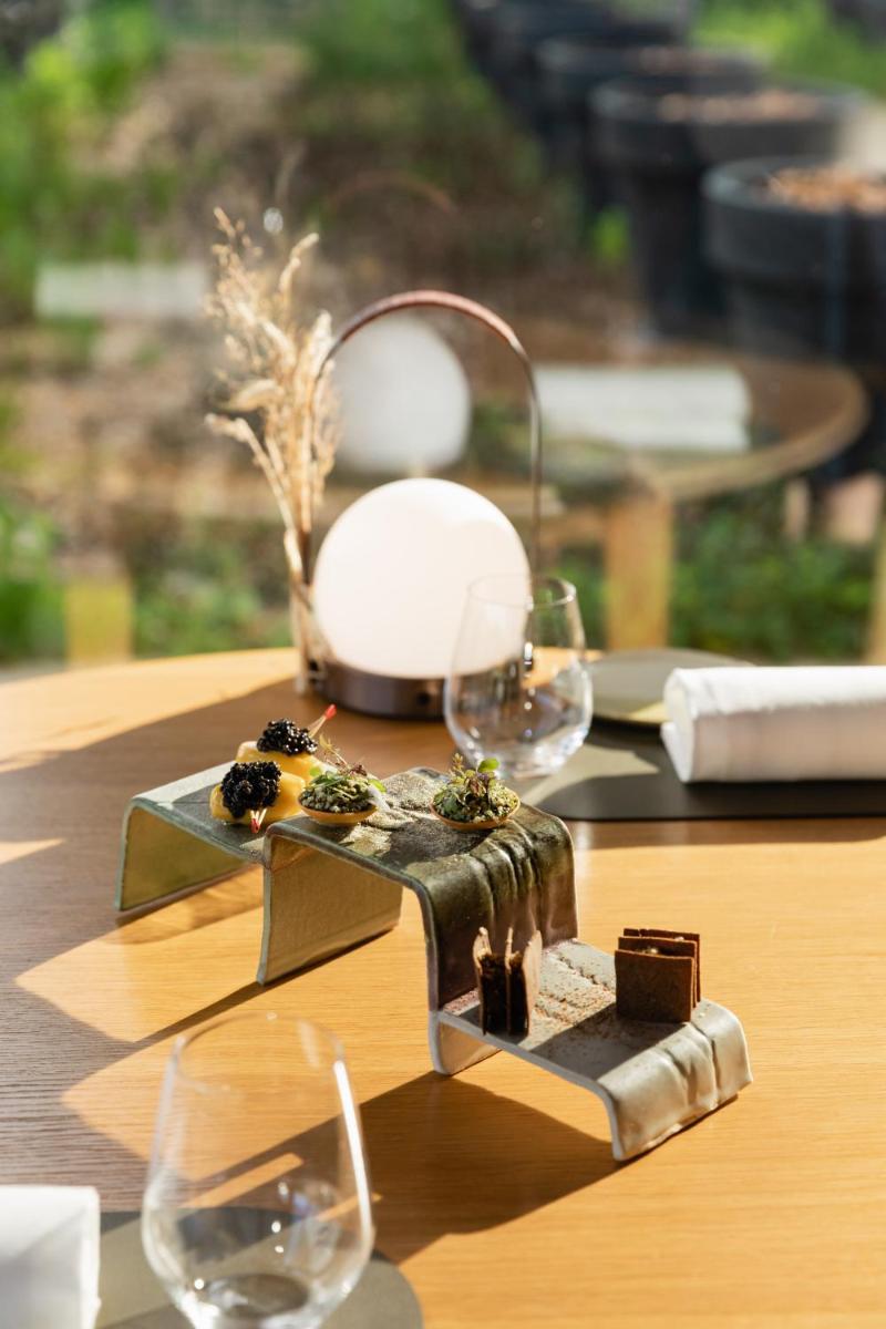 Les Sources de Cheverny