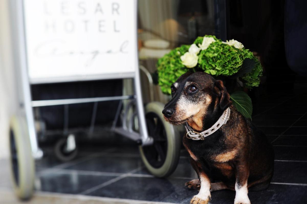 Lesar Hotel Angel - Member of Hip Hotels