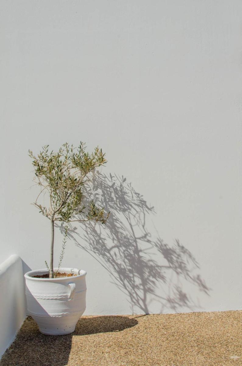 Levantes Ios Boutique Hotel