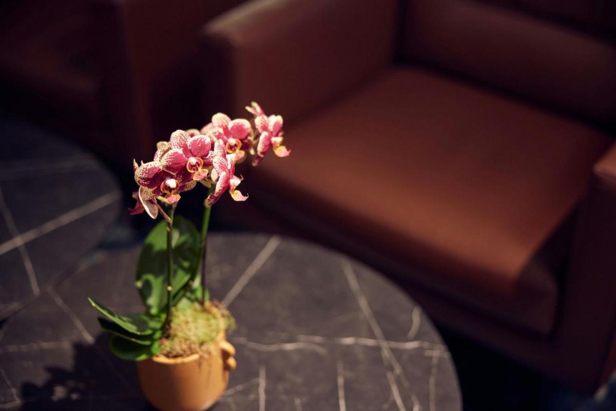 L'Hermitage Gantois, Autograph Collection