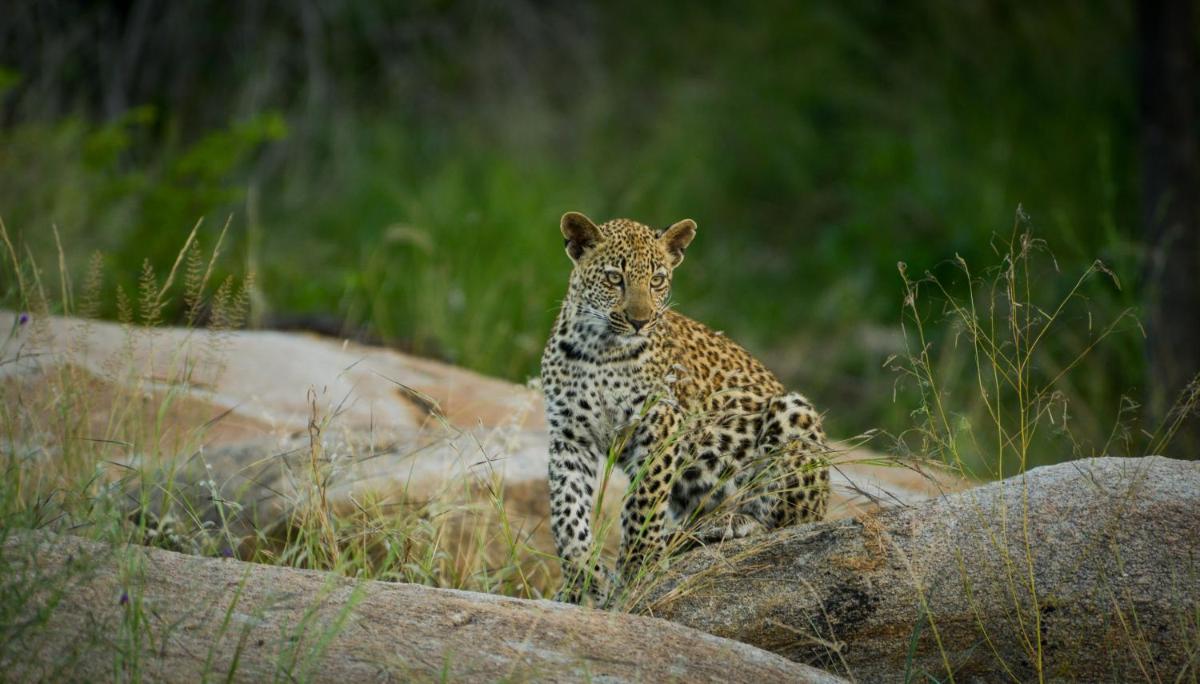Lion Sands Narina Lodge