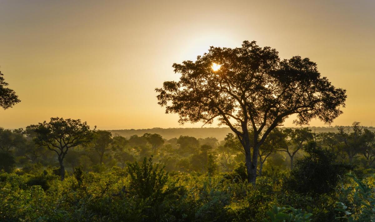 Lion Sands Narina Lodge