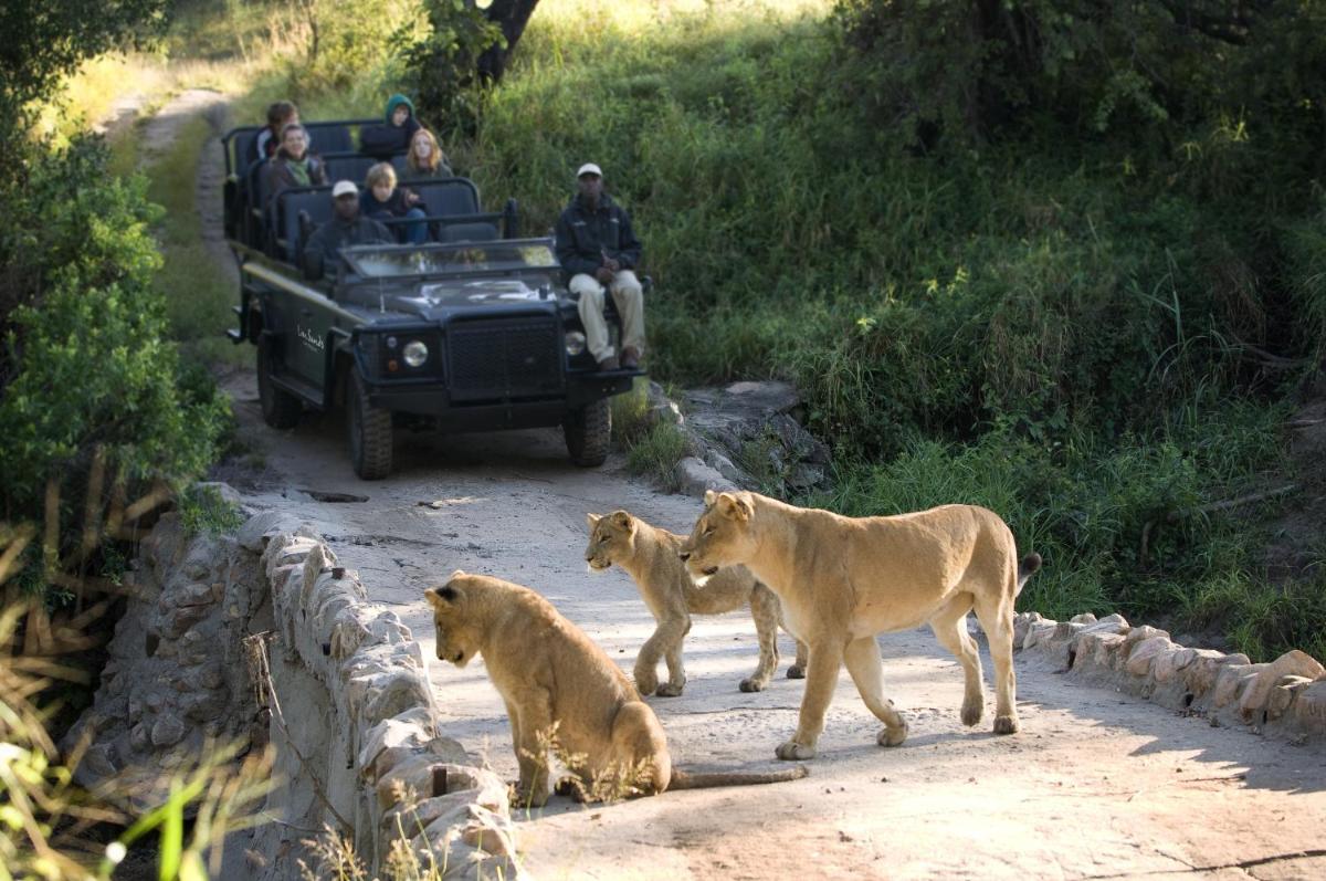Lion Sands River Lodge