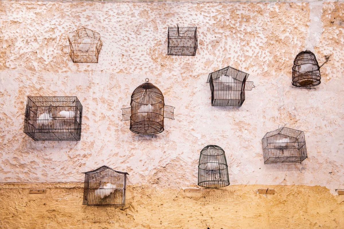 Lluna Aqua Soller - Adults Recommended