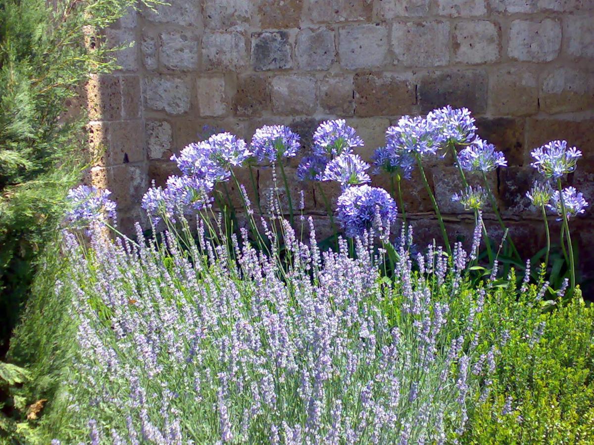Locanda Palazzone