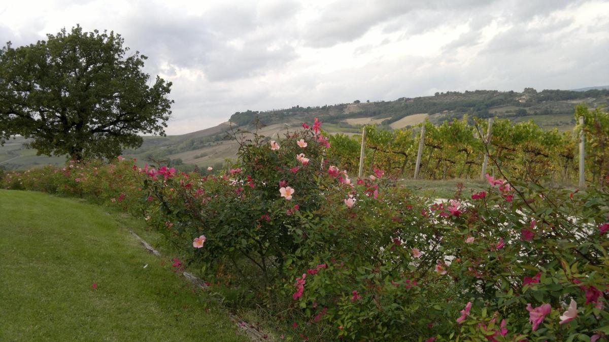 Locanda Palazzone