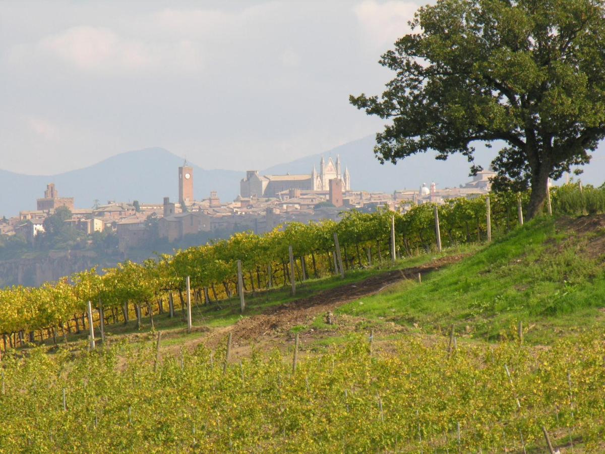 Locanda Palazzone