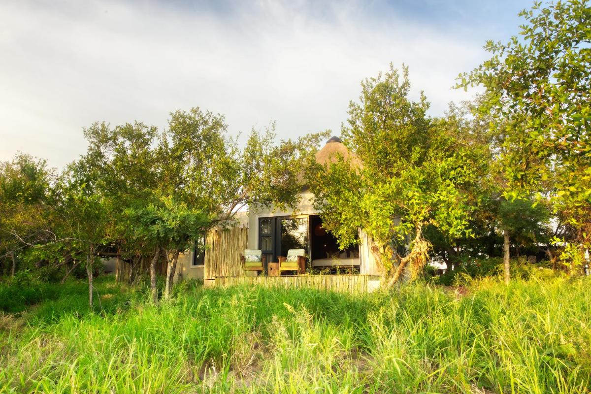 Misava Safari Camp - Klaserie Drift