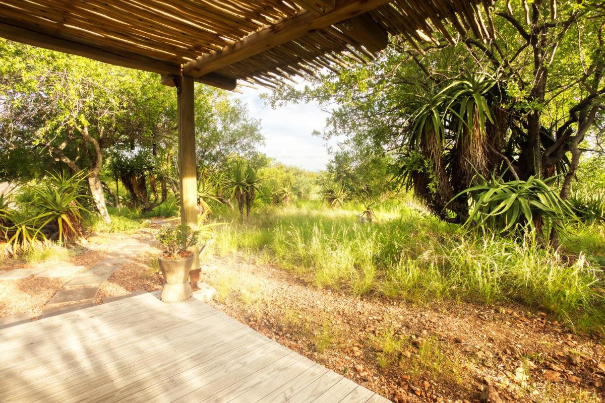 Misava Safari Camp - Klaserie Drift