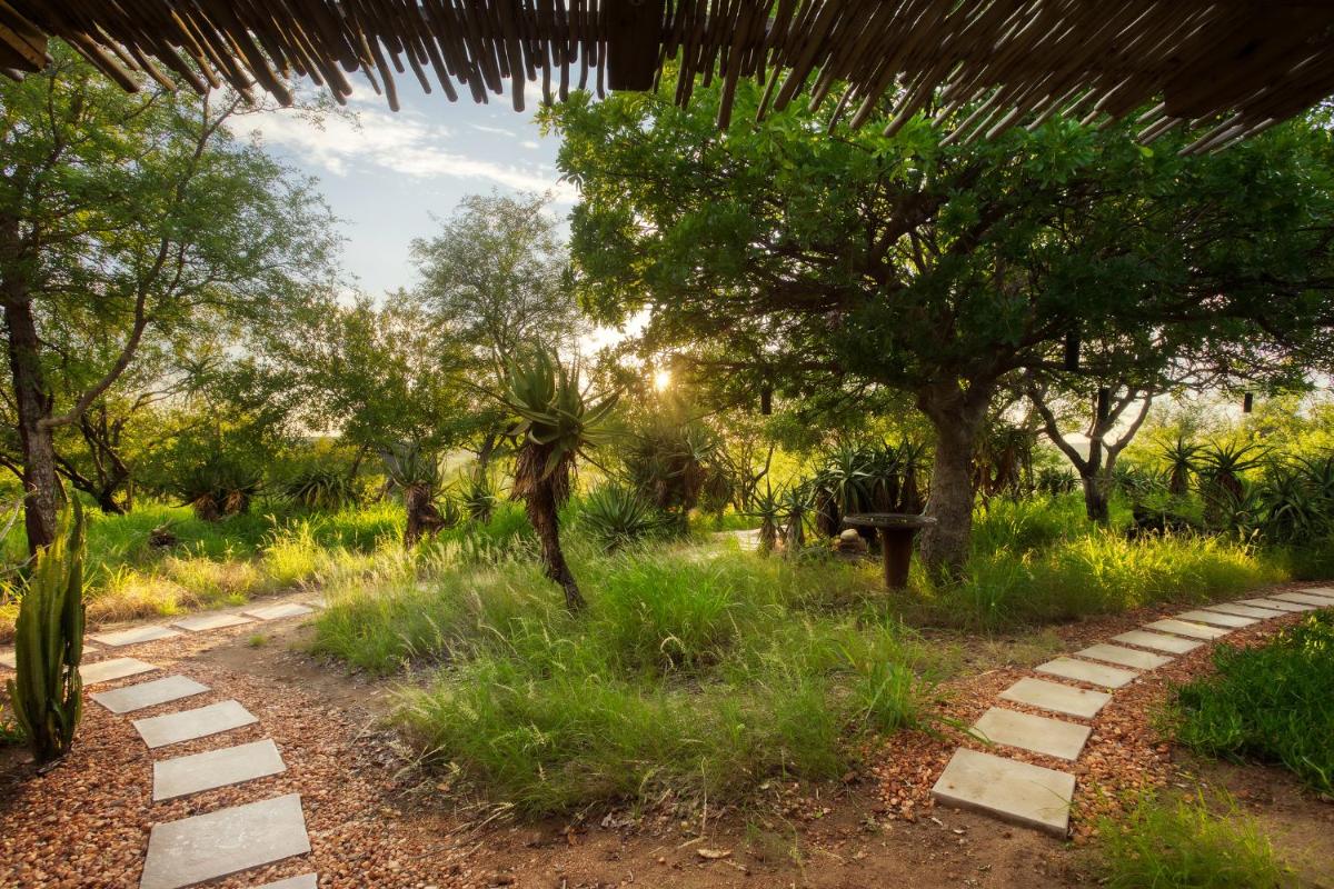 Misava Safari Camp - Klaserie Drift