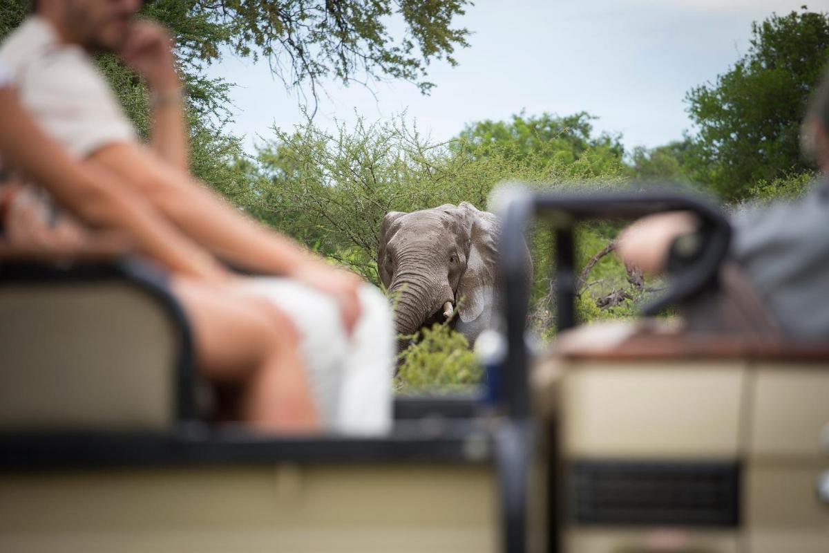 Misava Safari Camp - Klaserie Drift