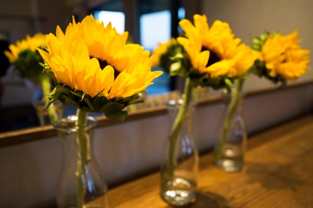 Misava Safari Camp - Klaserie Drift