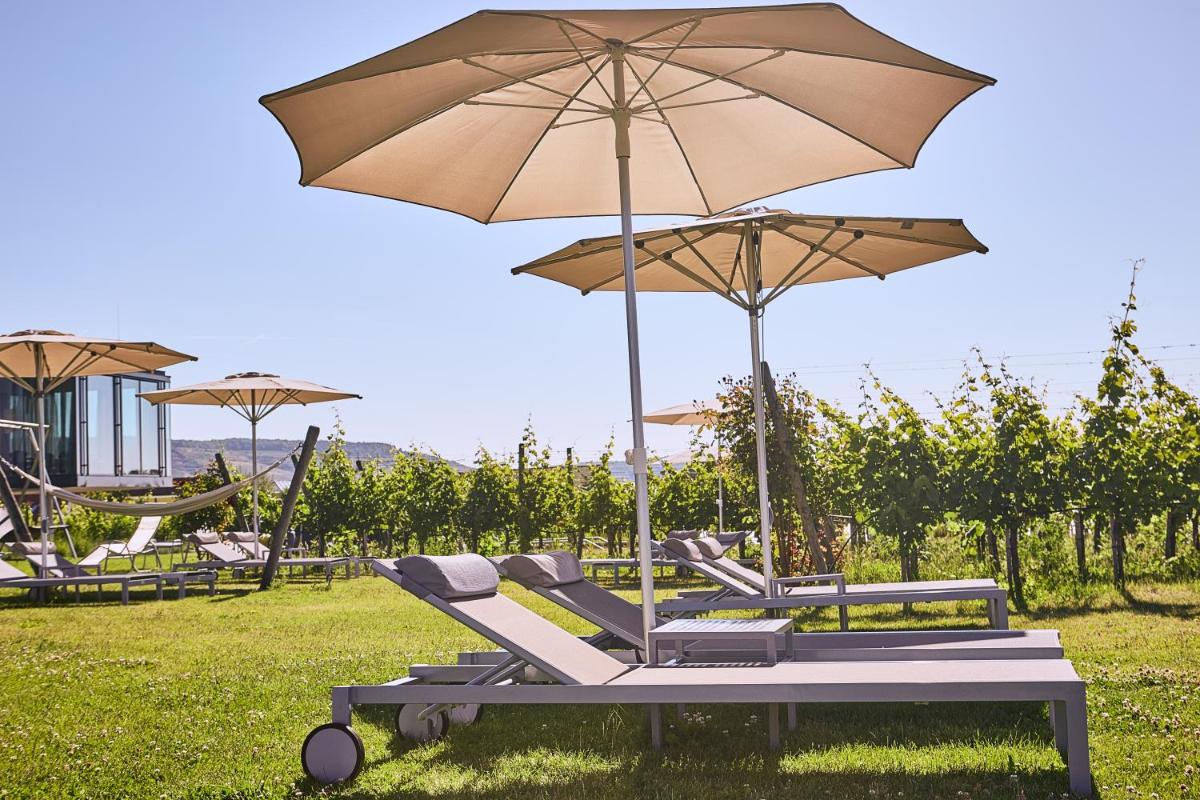 LOISIUM Wine & Spa Hotel Langenlois