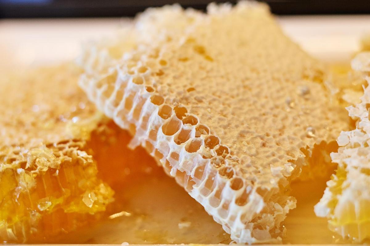 LOISIUM Wine & Spa Hotel Langenlois