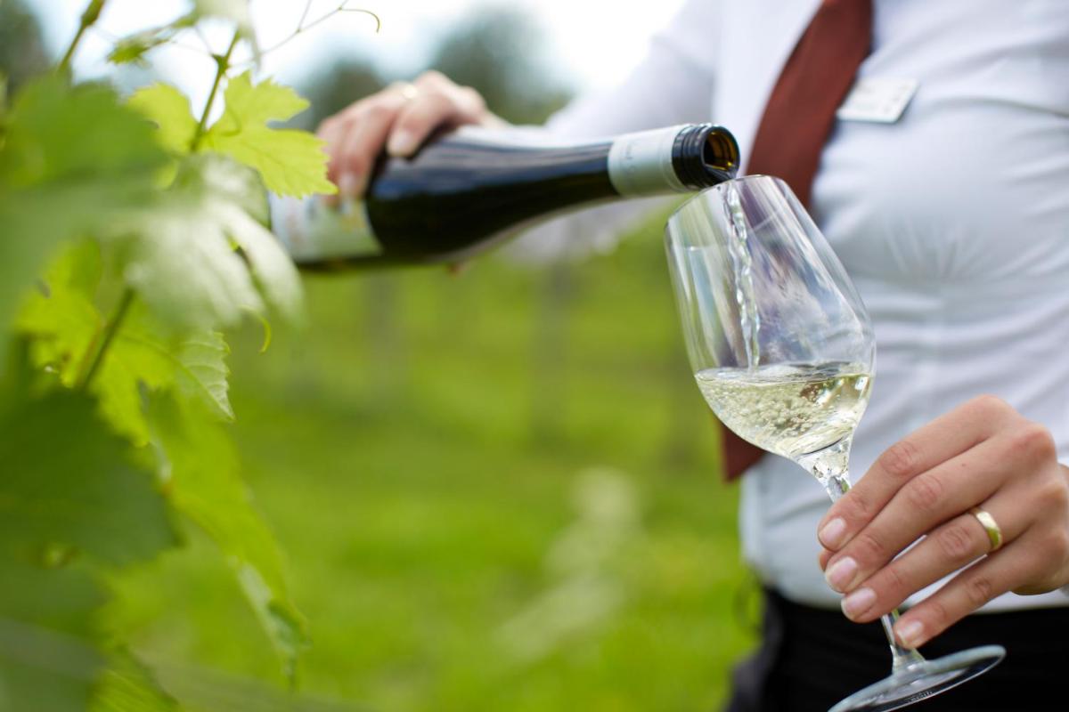 LOISIUM Wine & Spa Hotel Langenlois