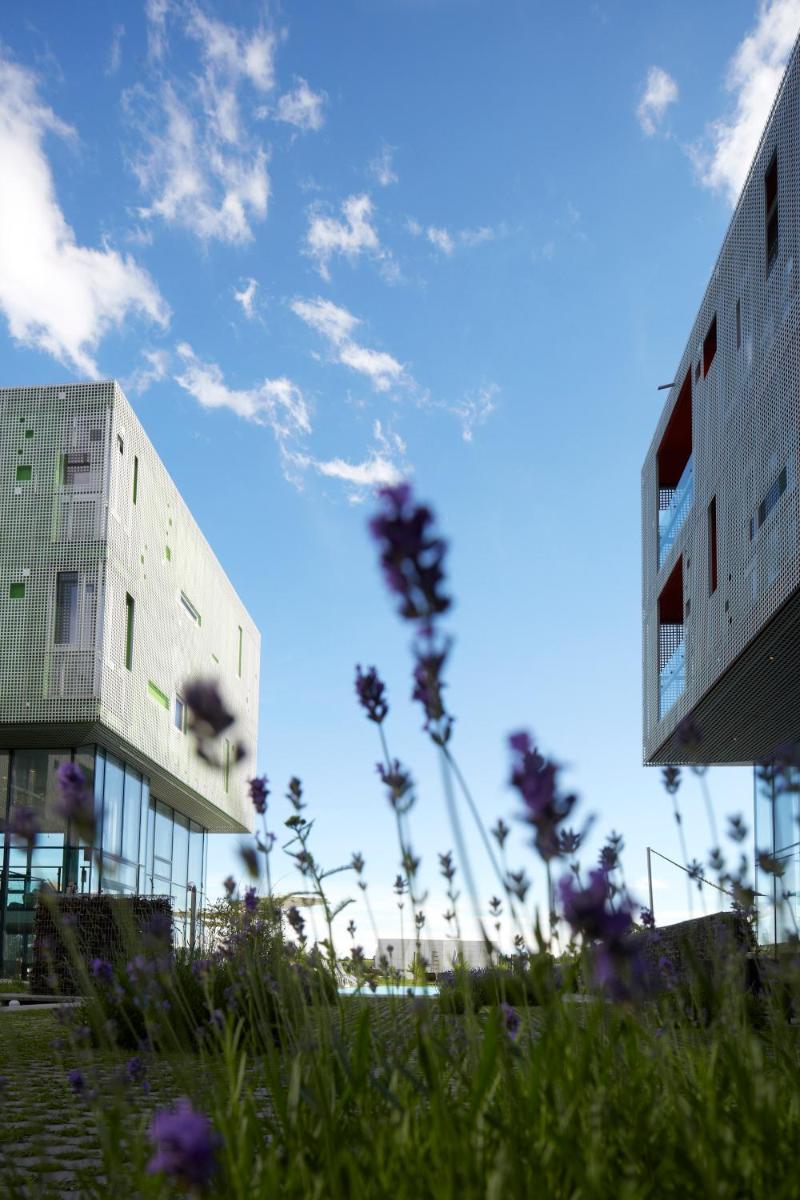 LOISIUM Wine & Spa Hotel Langenlois