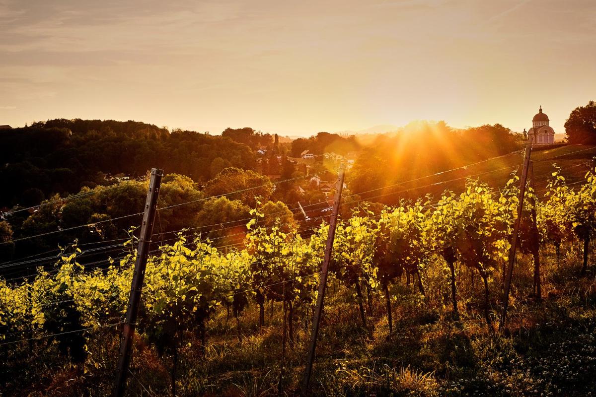 LOISIUM Wine & Spa Hotel Südsteiermark