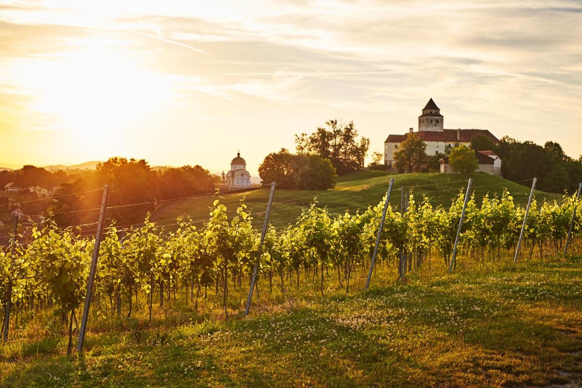 LOISIUM Wine & Spa Hotel Südsteiermark