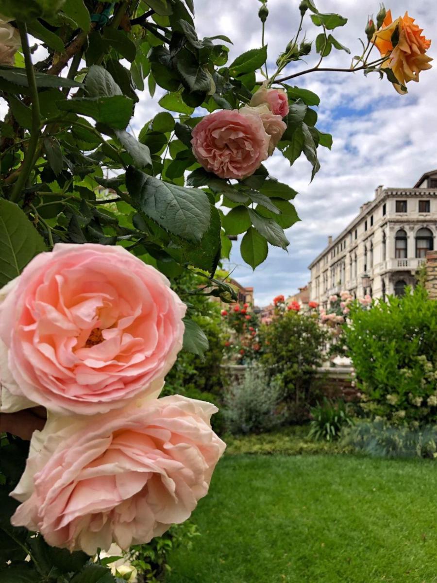 Madama Garden Retreat