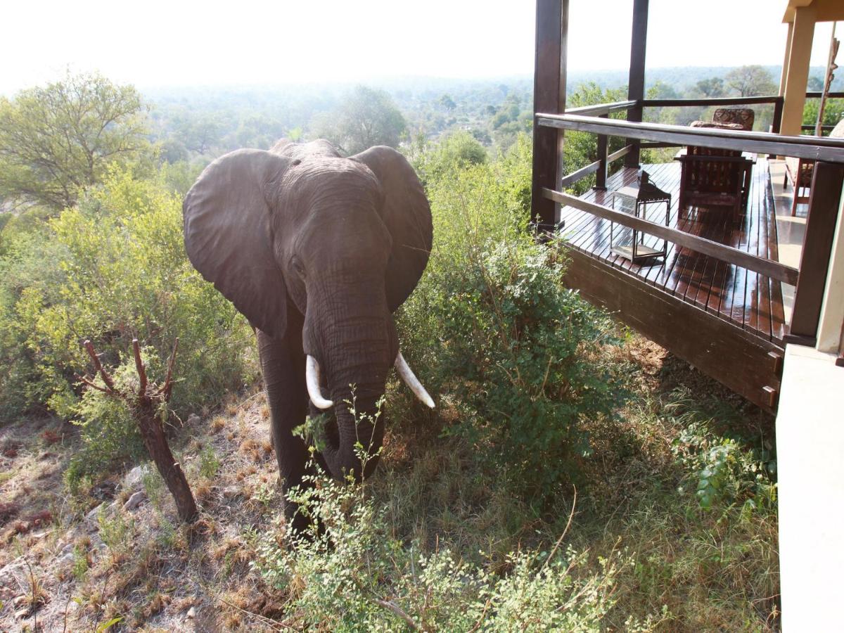 Makumu Private Game Lodge