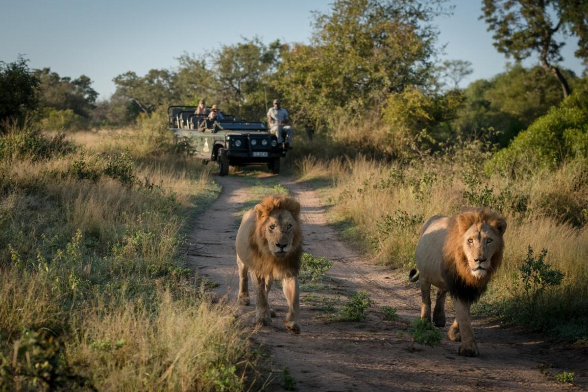 Makumu Private Game Lodge