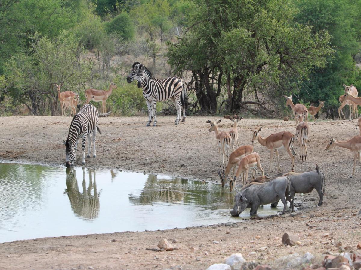 Makumu Private Game Lodge