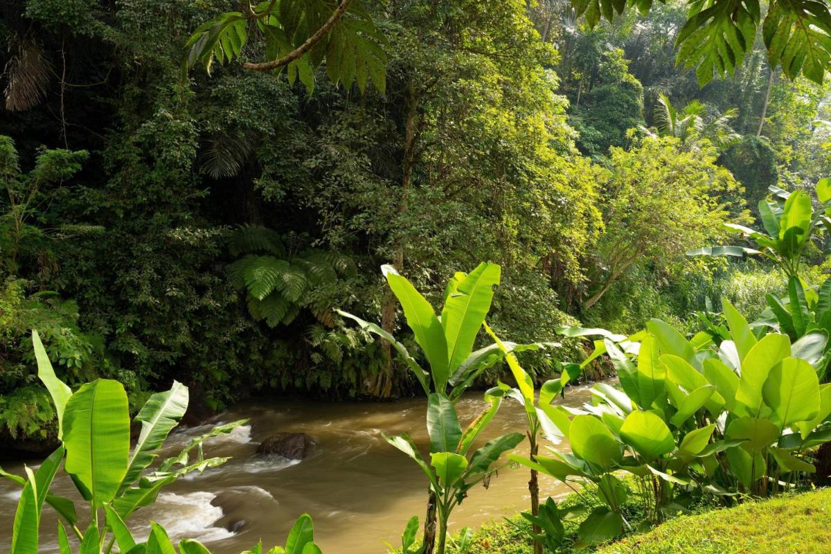 Mandapa, a Ritz-Carlton Reserve