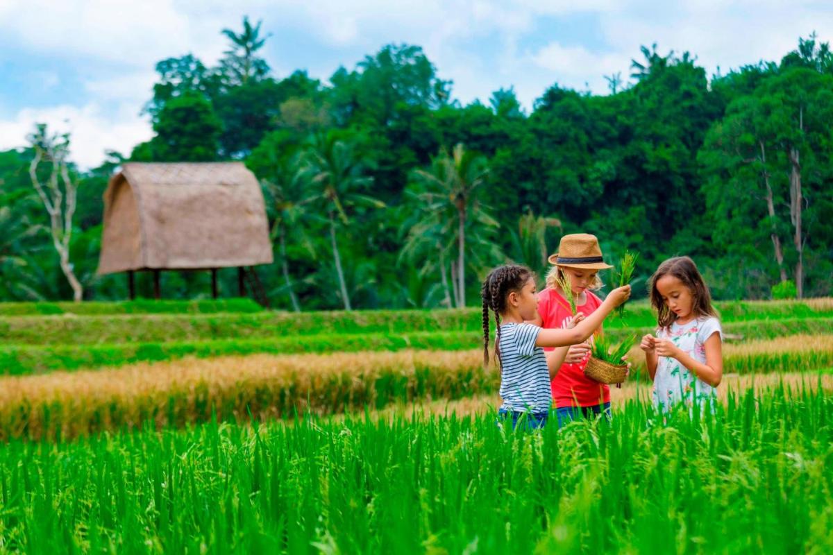 Mandapa, a Ritz-Carlton Reserve