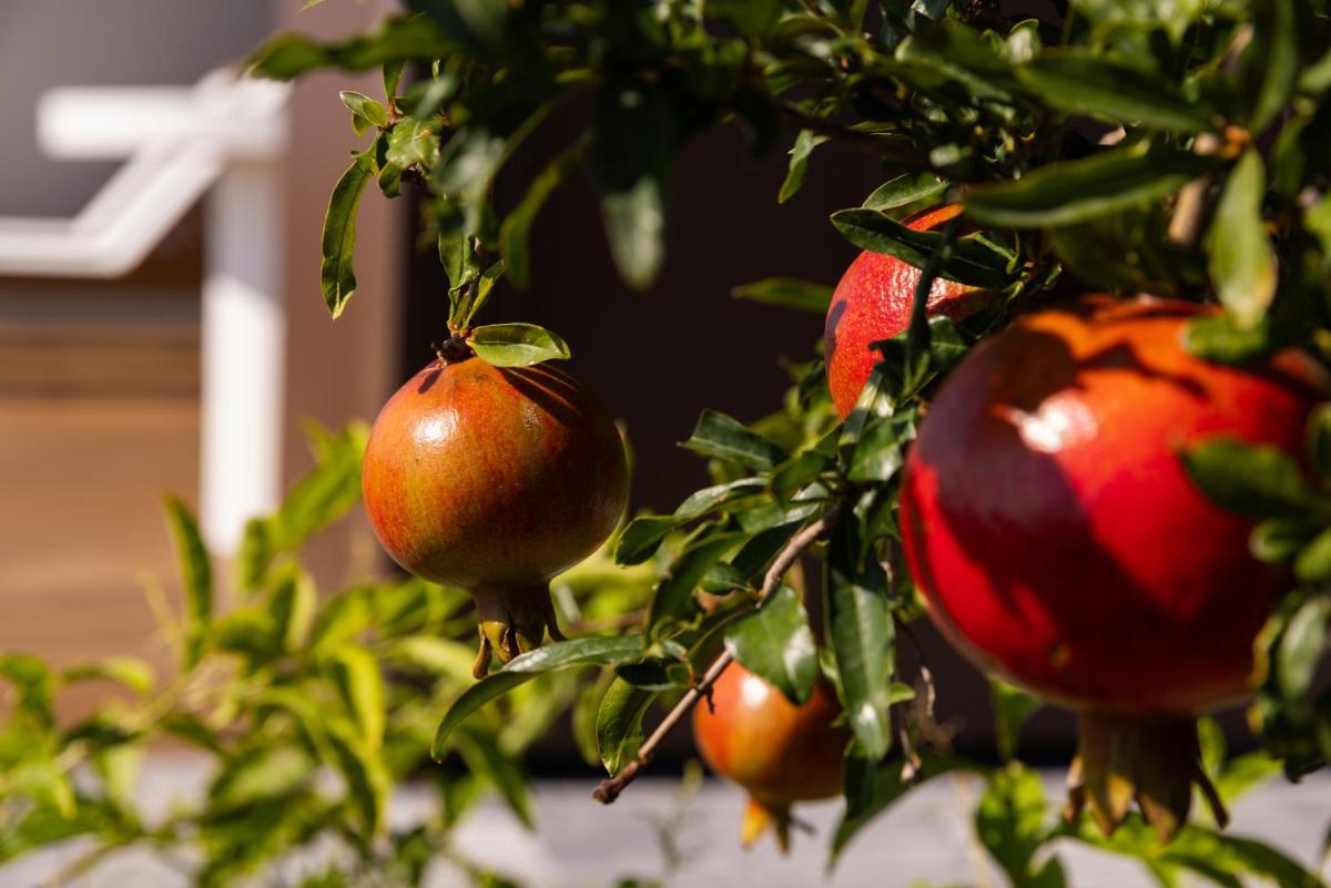 Mantàri Eco Lodges - Adults Only