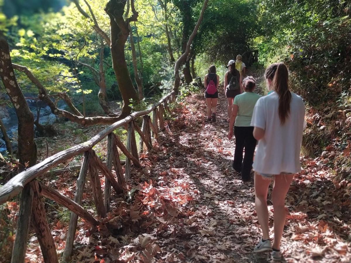 Elix, Mar-Bella Collection