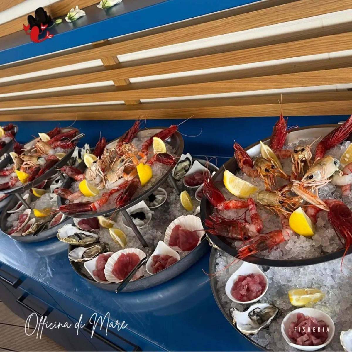 Marina Palace Apartments & Terrace