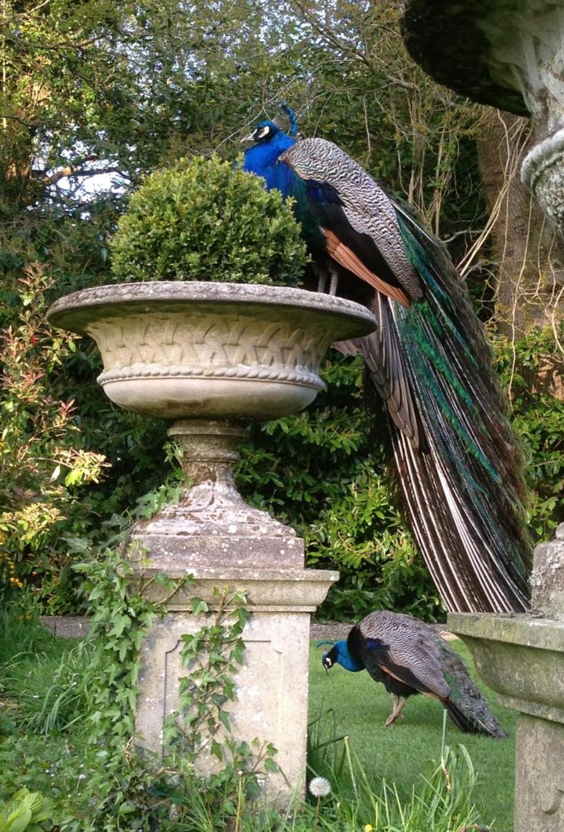 Marlfield House Hotel Relais et Chateaux