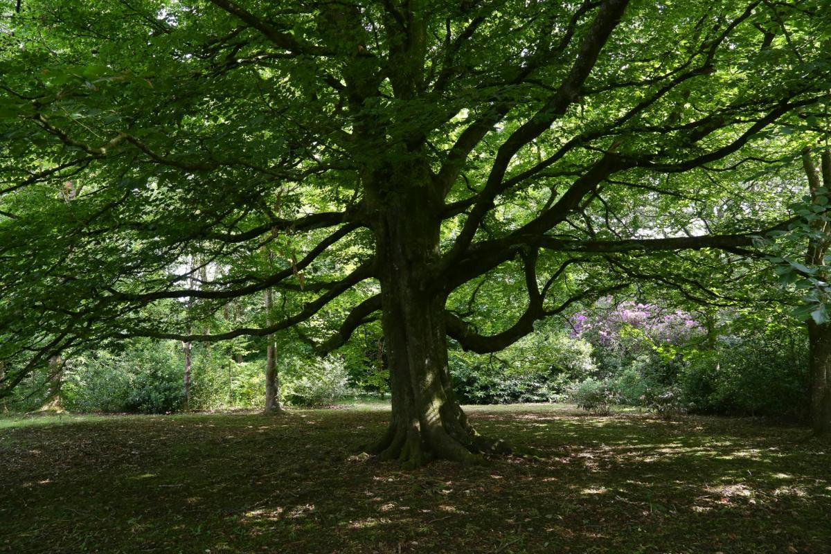 Marlfield House Hotel Relais et Chateaux