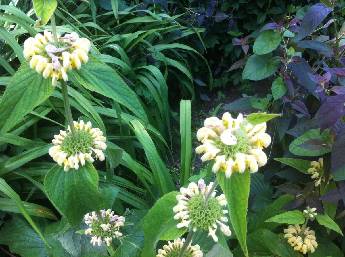 Marlfield House Hotel Relais et Chateaux