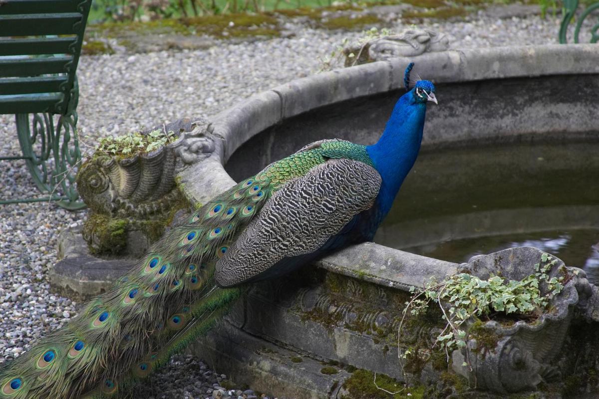 Marlfield House Hotel Relais et Chateaux