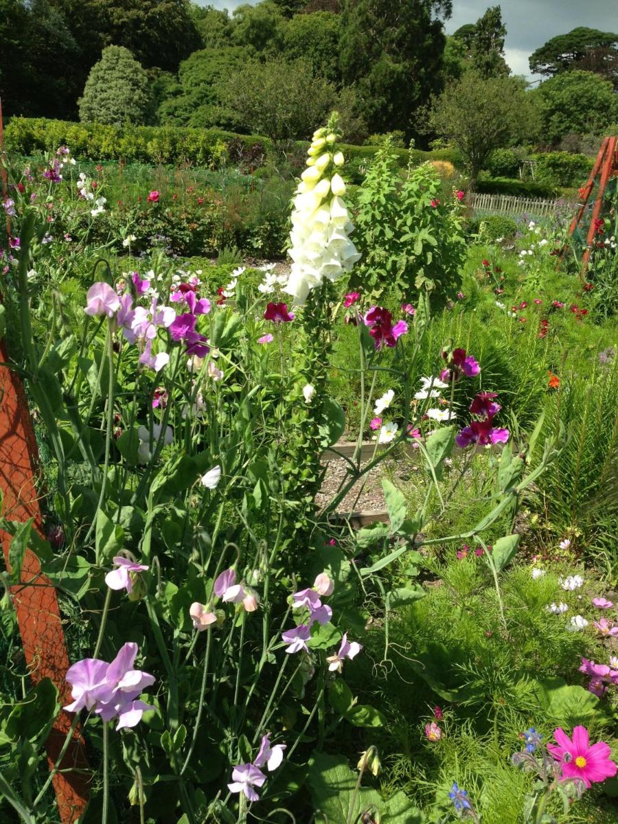 Marlfield House Hotel Relais et Chateaux